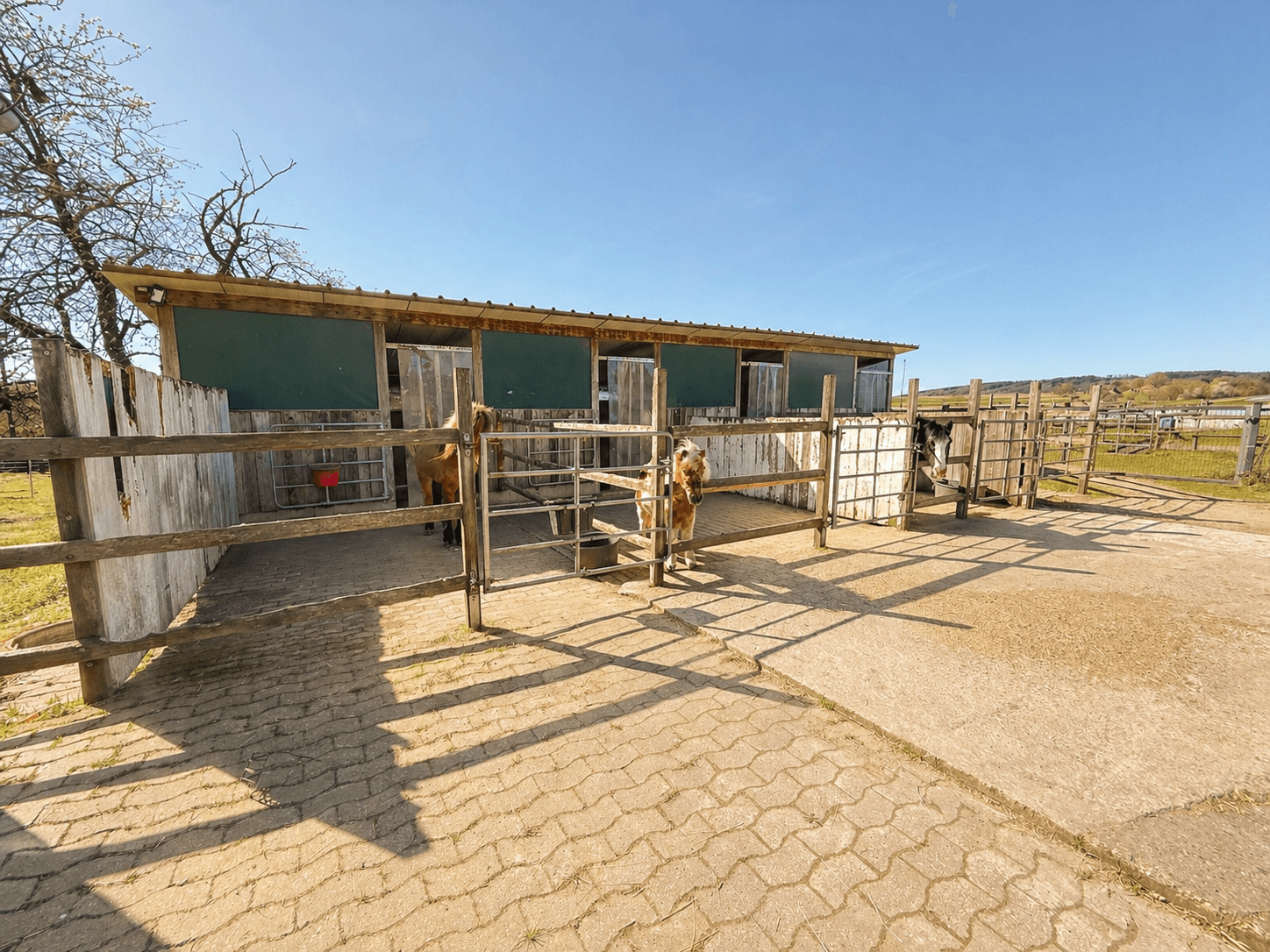 Exklusives Anwesen mit Reitanlage auf ca. 35.000 m² Grundstück in idyllischer Lage